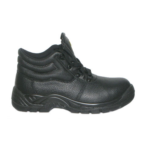 Large Product Image
