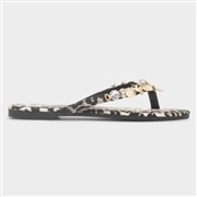 Truffle Collection Cora Womens Multi Shell Sandal (Click For Details)