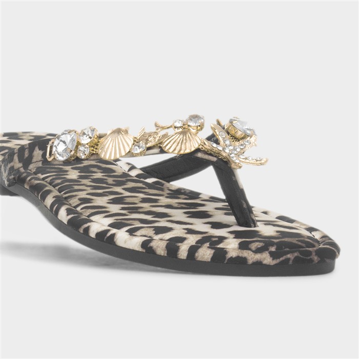 Cora Womens Multi Shell Sandal