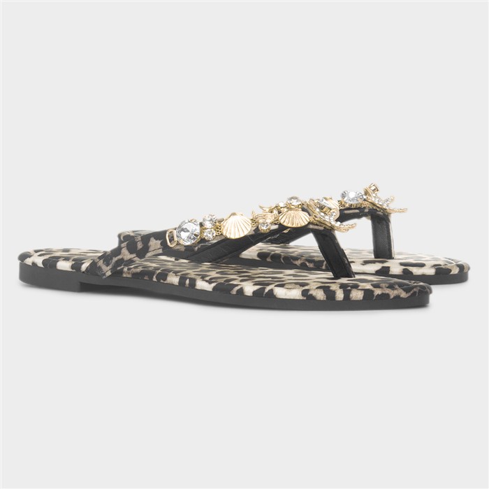 Cora Womens Multi Shell Sandal