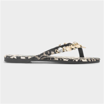 Cora Womens Multi Shell Sandal