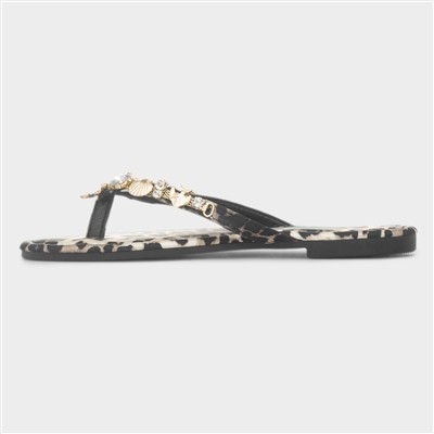 Cora Womens Multi Shell Sandal