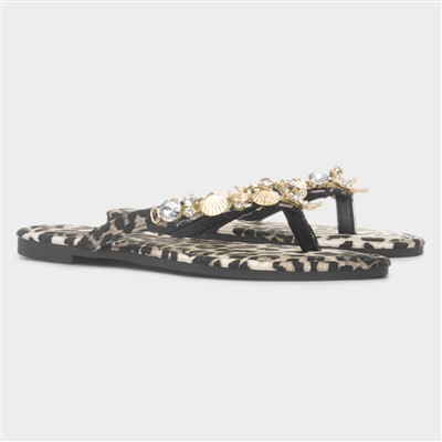 Cora Womens Multi Shell Sandal
