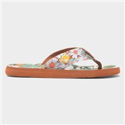 Rocket Dog Adios Berlin Womens Multi Flip Flop (Click For Details)