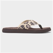 Rocket Dog Adios Dexter Womens Brown Flip Flop (Click For Details)