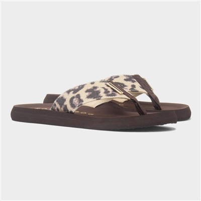 Adios Dexter Womens Brown Flip Flop
