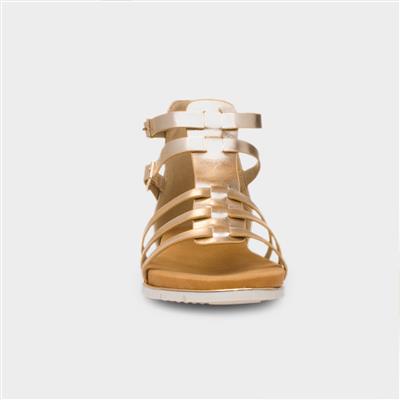 Lynn Womens Gold Gladiator Sandal