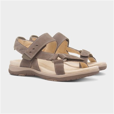 Elara Womens Walnut Leather Sandal