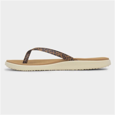 Maui Breeze Womens Tan Leopard Flip Flop