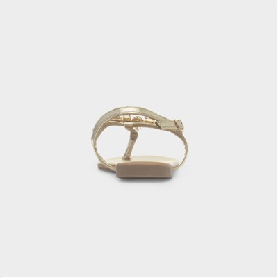 Eliana Womens Gold Flat Toe Post Sandal