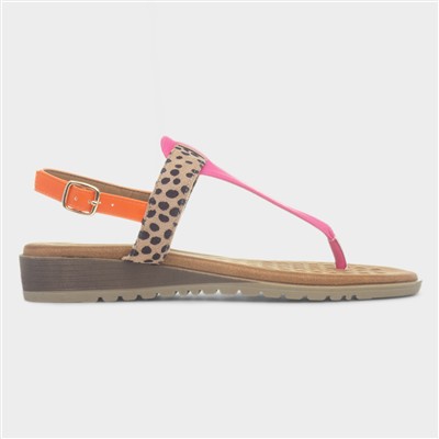 Gina Womens Multi Leopard Toe Post Sandal