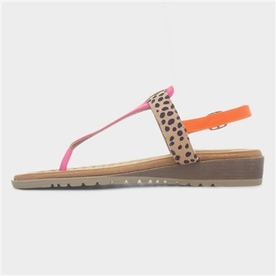 Gina Womens Multi Leopard Toe Post Sandal