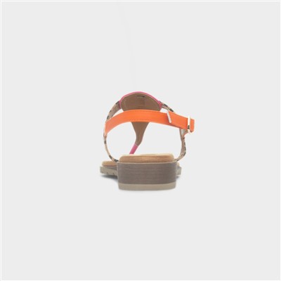 Gina Womens Multi Leopard Toe Post Sandal