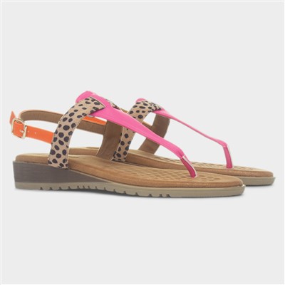 Gina Womens Multi Leopard Toe Post Sandal