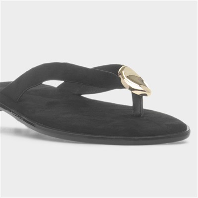 Nevra Womens Black Sandal