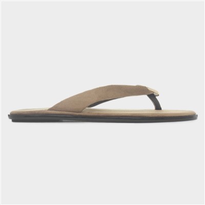Nevra Womens Taupe Sandal