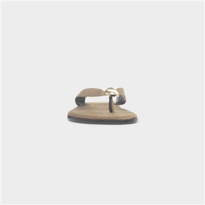 Nevra Womens Taupe Sandal