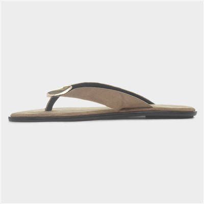 Nevra Womens Taupe Sandal