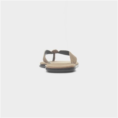 Nevra Womens Taupe Sandal