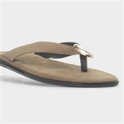 Nevra Womens Taupe Sandal