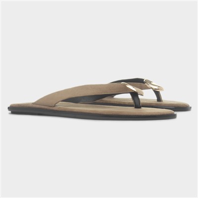 Nevra Womens Taupe Sandal