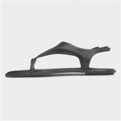 Cameron Womens Black Sandal