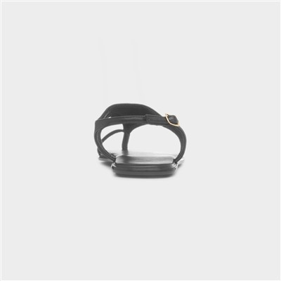 Cameron Womens Black Sandal