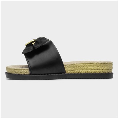 Darcie Womens Black Mule Sandal