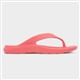 Product Image Added To Bag