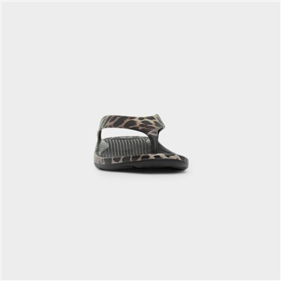 Solbounce Womens Brown Animal Print Sandal