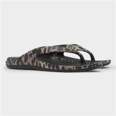 Solbounce Womens Brown Animal Print Sandal