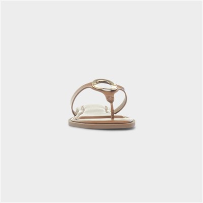 Su Womens Tan Flat Toe Post Sandal