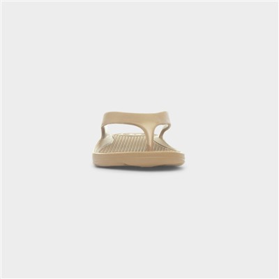 Solbounce Womens Gold Metallic EVA Flip Flop