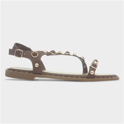 Hailey Womens Brown Flat Sandal