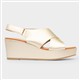 Product Image Added To Bag