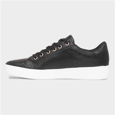 Gym Womens Black Shoe