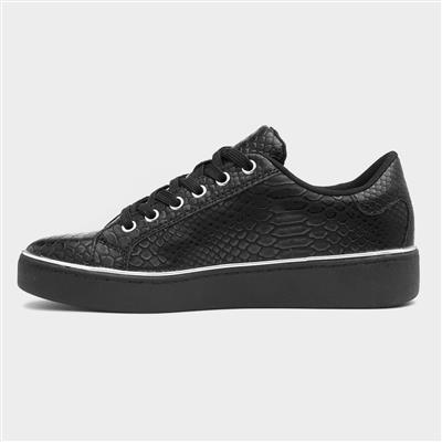 Gym Womens Black Snake Print Shoe