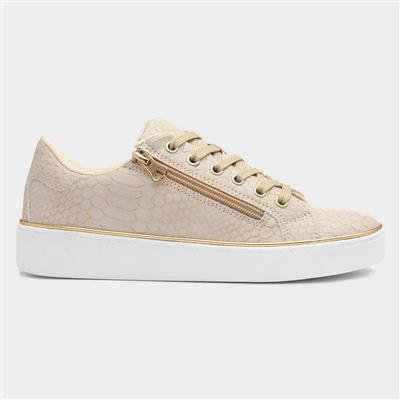 Lilley Skinner Gym Womens Beige Snake Print Shoe 120315 Shoe Zone