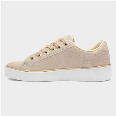 Gym Womens Beige Shoe