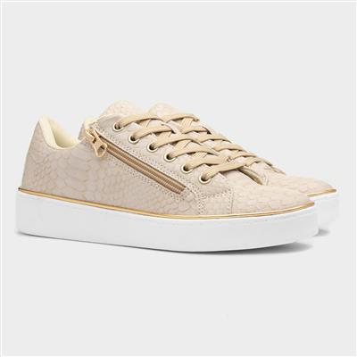 Gym Womens Beige Shoe