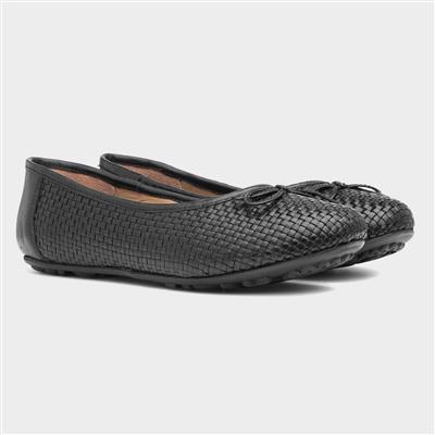 Janelle Womens Black Ballerina Shoe