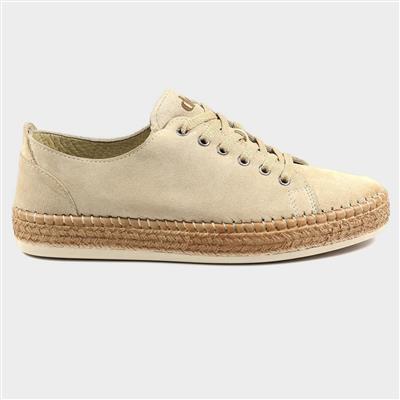 Maddison Womens Suede Trainer