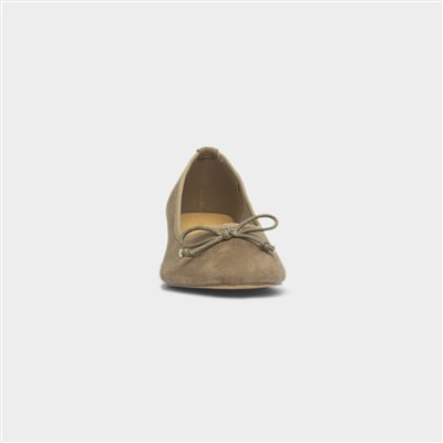Prunella Womens Tan Ballerina