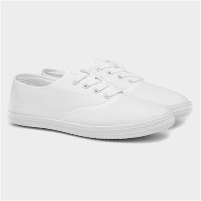 Red Fish Tai Womens White Lace Up Canvas Shoe-16019 | Shoe Zone