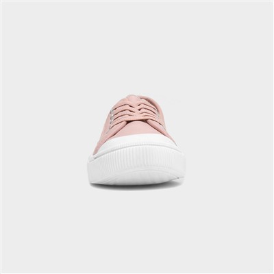 Penny Womens Pink Canvas Shoe