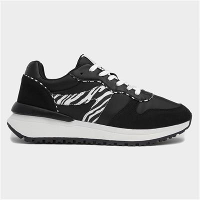 Womens Black Zebra Lace Up Canvas Shoe