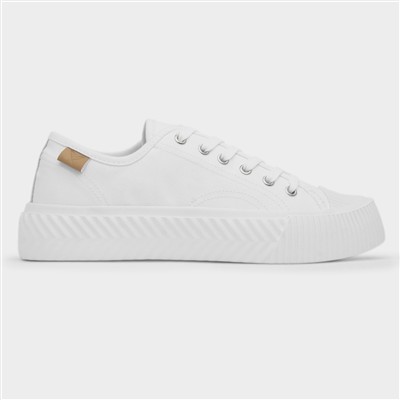 Jayne III Womens White Lace Up Canvas