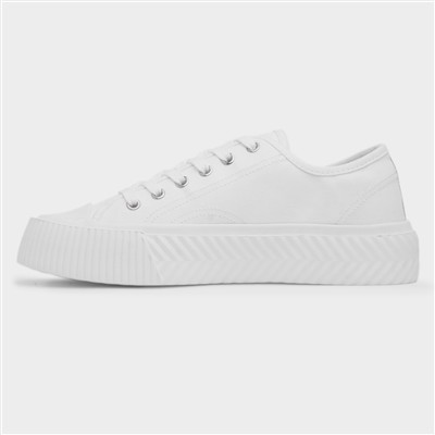 Jayne III Womens White Lace Up Canvas