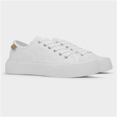 Jayne III Womens White Lace Up Canvas