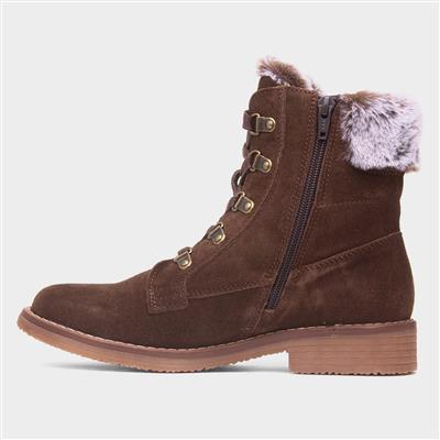 Florence Womens Chocolate Ankle Boot